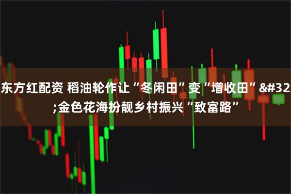 东方红配资 稻油轮作让“冬闲田”变“增收田” 金色花海扮靓乡村振兴“致富路”