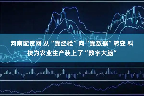 河南配资网 从“靠经验”向“靠数据”转变 科技为农业生产装上了“数字大脑”
