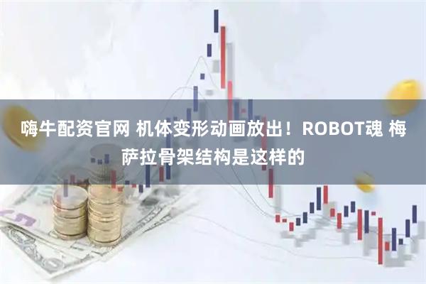 嗨牛配资官网 机体变形动画放出！ROBOT魂 梅萨拉骨架结构是这样的