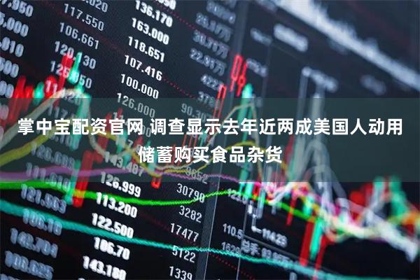 掌中宝配资官网 调查显示去年近两成美国人动用储蓄购买食品杂货
